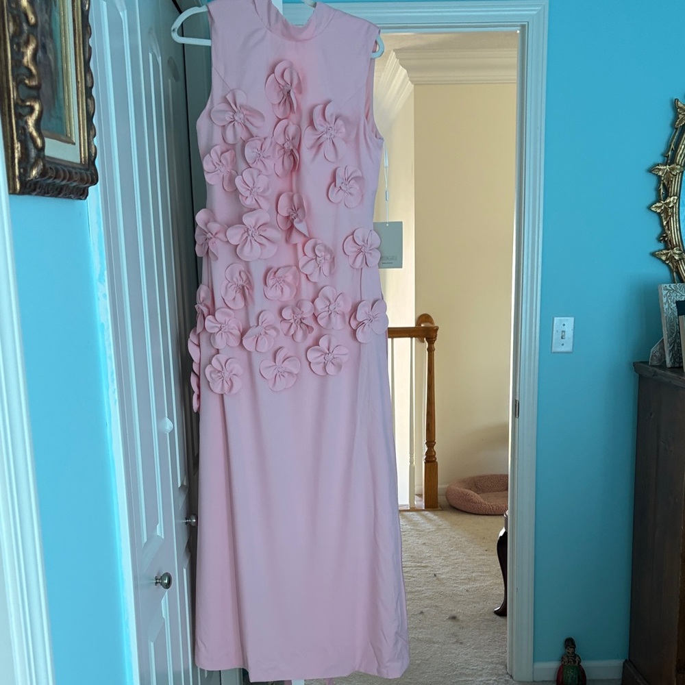 Sleeveless Pink Maxi Dress with 3D Floral Appliqués